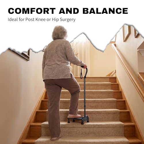 Stair Climbing Cane with Step Platform for Seniors (Black)