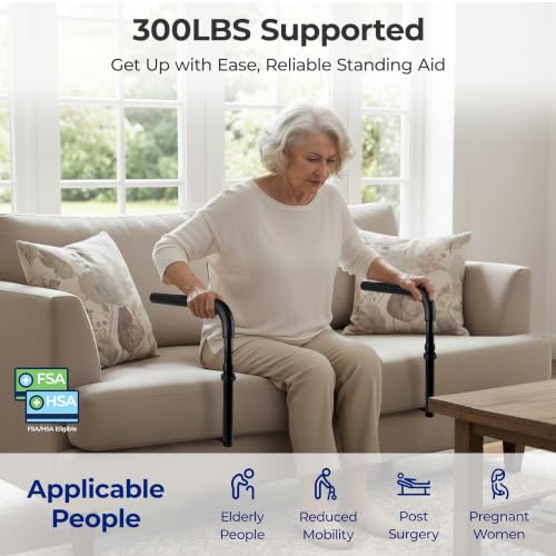 L1 Stand Assist Rail for Couch (Us_l1_black)